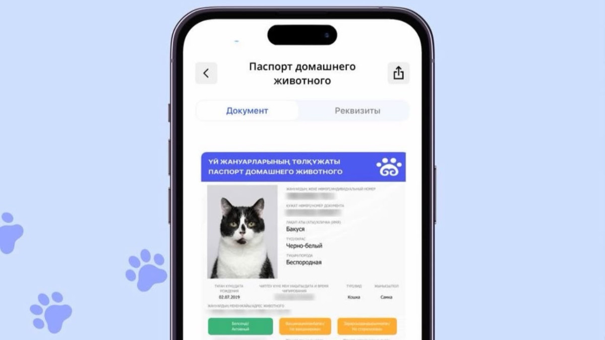 Үй жануарының паспортын енді онлайн рәсімдеуге болады