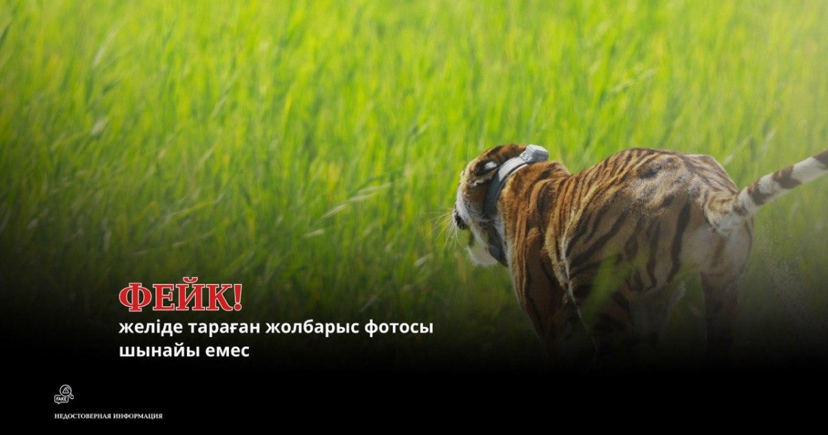  Министрлік: «Іле-Балқаштағы» жолбарыстың желіде тараған суреті – фейк (ФОТО) 