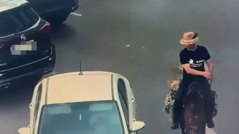 Всадник на лошади нарушил правила в центре Астаны: детали случая