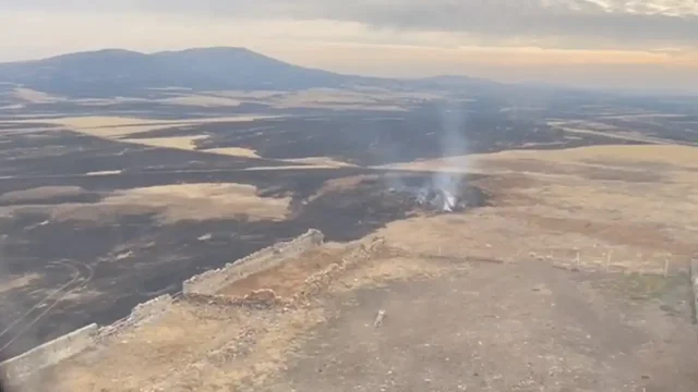 Қазақстанның бірнеше өңірінде төтенше өрт қаупі жарияланды