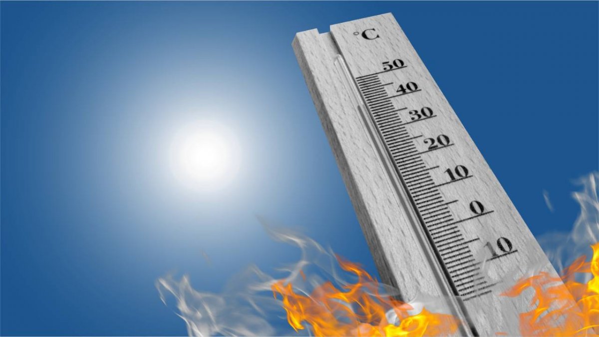 Ни капли дождя: Шымкент накроет 40-градусная жара