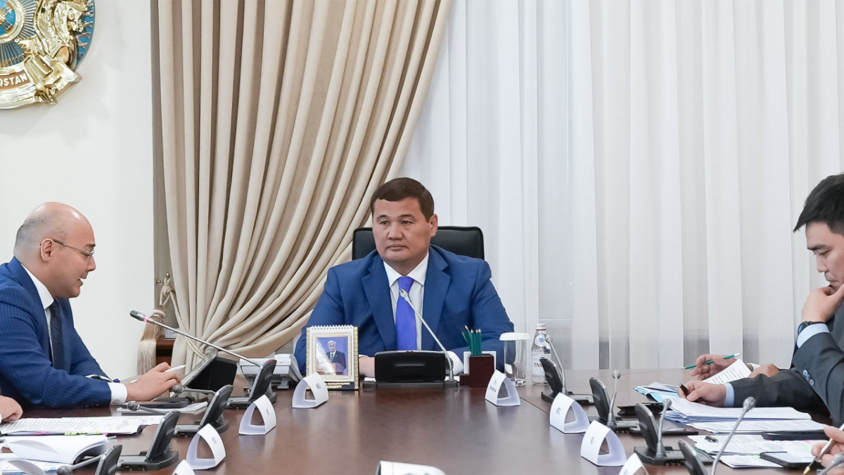Нурлыбеку Налибаеву доложили о состоянии экономического сотрудничества с рядом стран