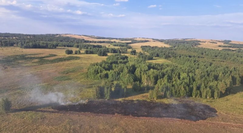 Сразу три лесных пожара произошли за сутки в Казахстане