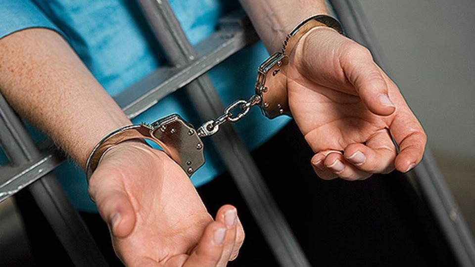 Задержанных будут возить под GPS и камерами