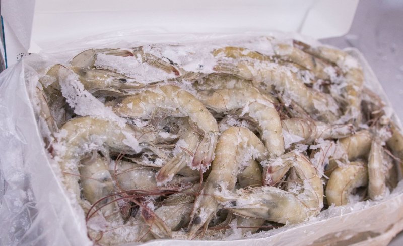 Тонны продукции из Казахстана задержали на границе с Россией
