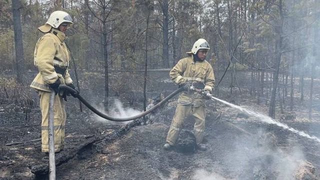 Қазақстанда бір апта ішінде ормандардан 47 рет өрт шықты