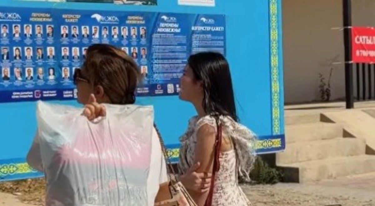 Партия "Ак жол" провела агитационную работу в селе Курык