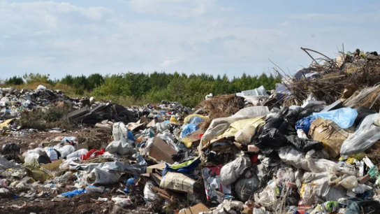 ШҚО прокурорлары 94 заңсыз қоқыс үйіндісін анықтады
