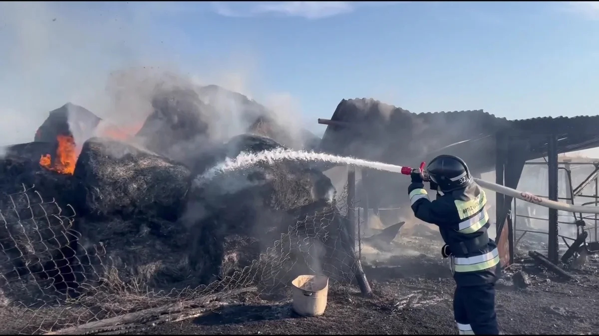 Свыше 150 тонн сена сгорела в Восточном Казахстане в результате пожаров