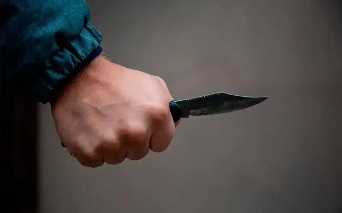 Анасына пышақ сұғып, Вьетнамға қашып кеткен күдікті Қазақстанға қайтарылды