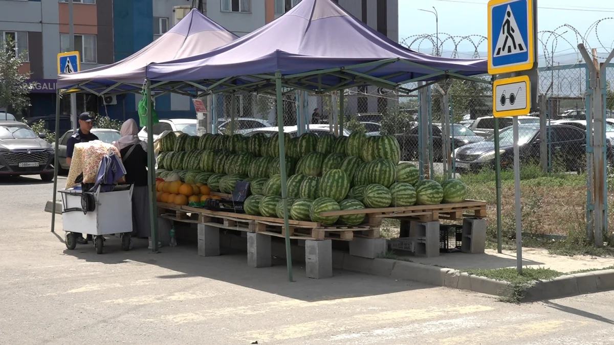 Сладкая покупка с горькими последствиями: в Алматы проверяют продавцов арбузов у дорог