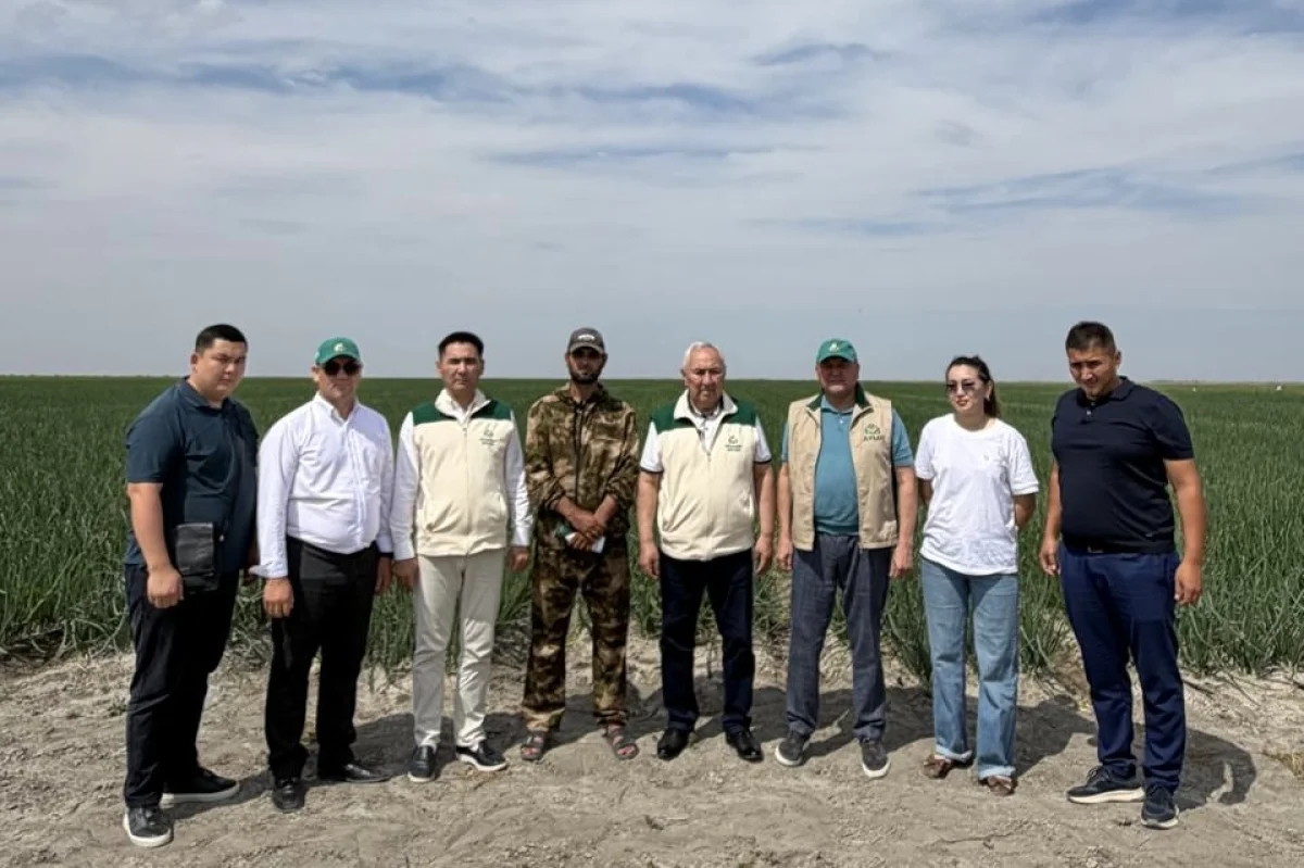 «Ауыл» партиясы отандық өндірісті, ауыл кәсіпкерлерін және еңбек адамын қолдайды