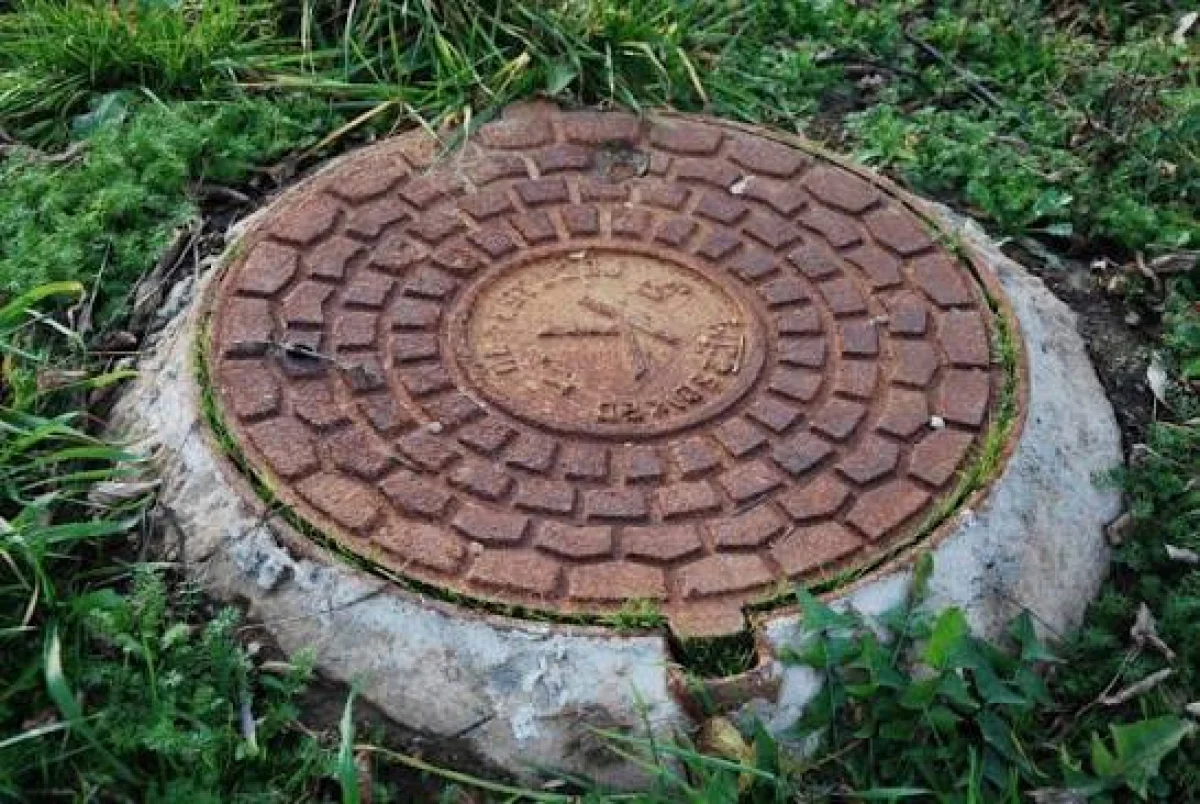Көкшетауда құдыққа түсіп кеткен ит құтқарылды