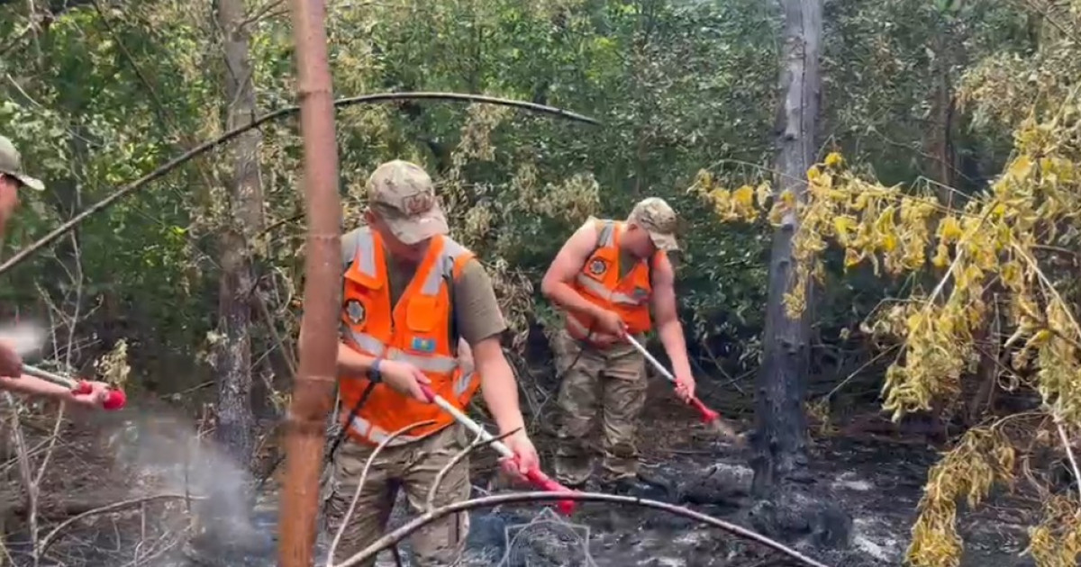   Елімізде бір күнде 12 орман өрті тіркелді   
