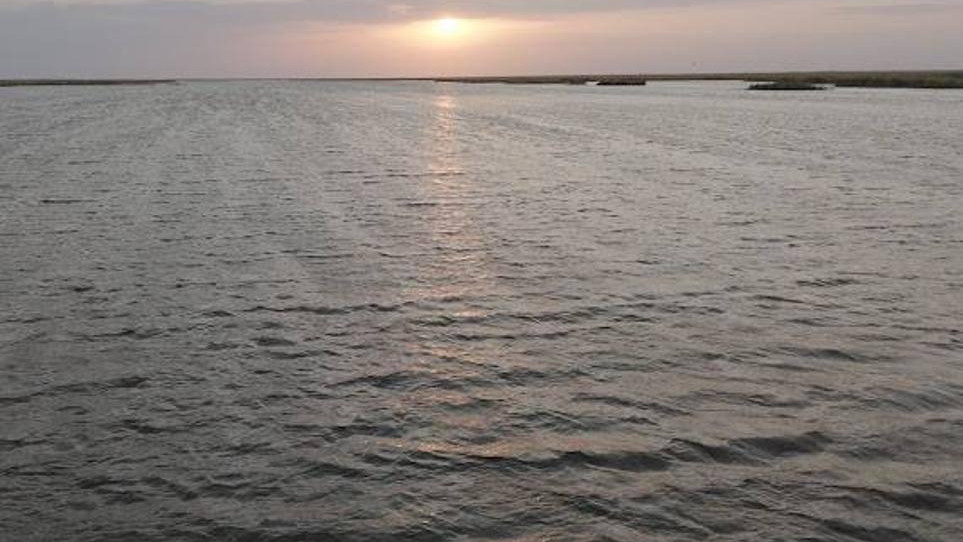 1,2 млрд кубометров воды направили в Северный Арал: увеличат ли подачу