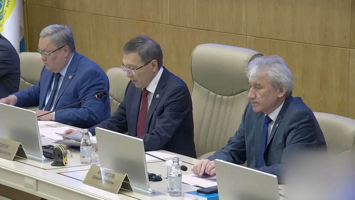 Құрылтай сайлауына 777 шетелдік байқаушы қатысады