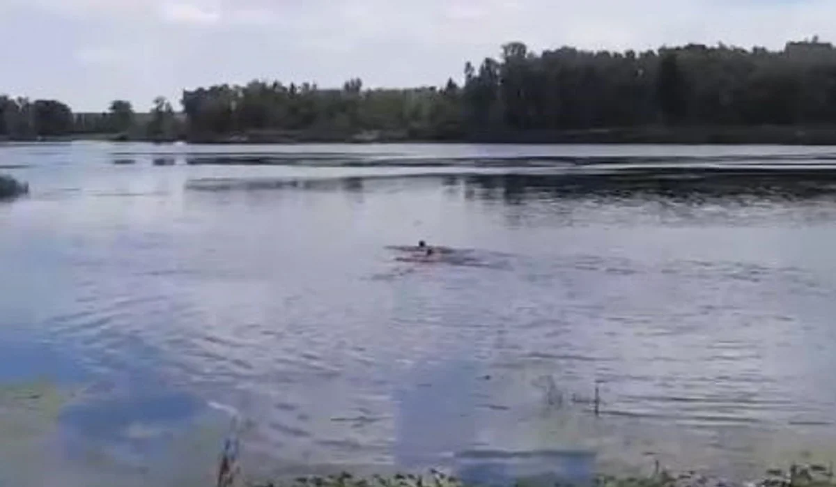 Семейде Ертіс өзеніне батып бара жатқан 8 жасар бүлдіршін құтқарылды (ВИДЕО)