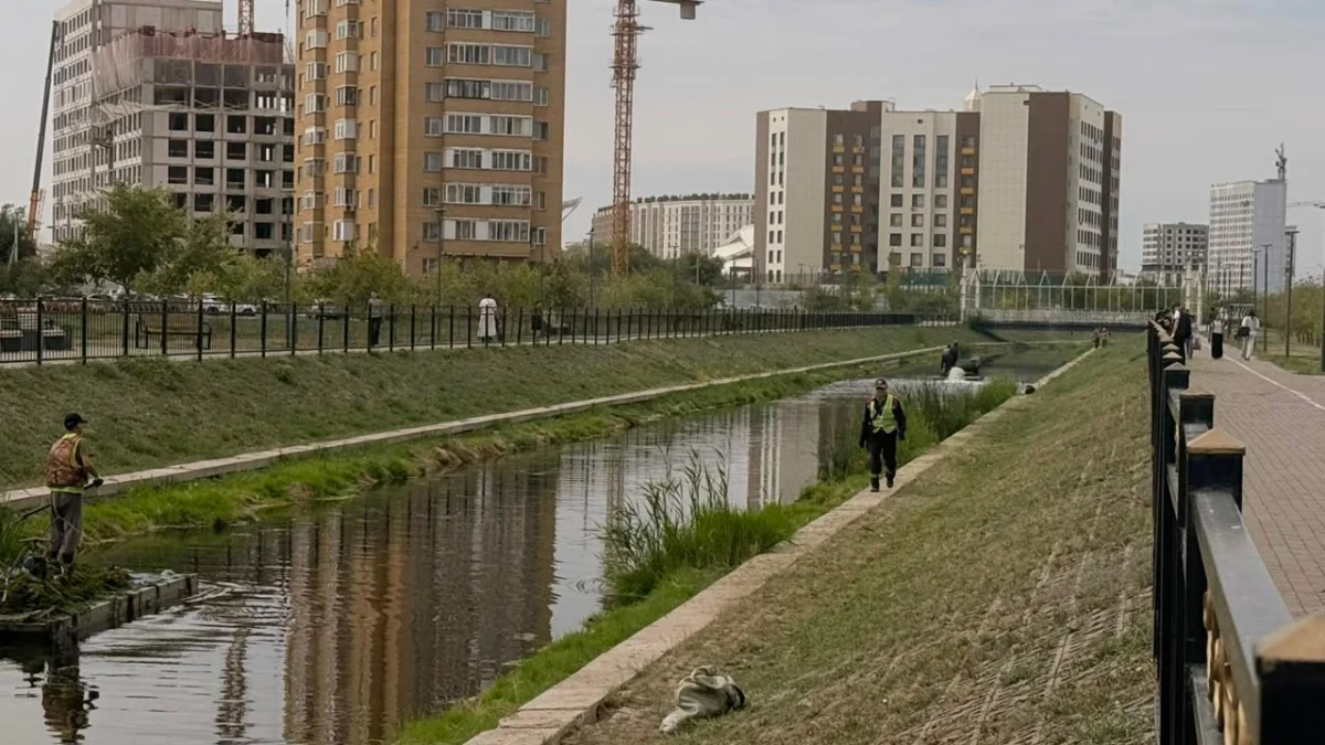 Реку Сарыбулак очищают с помощью полезных микроорганизмов в Астане