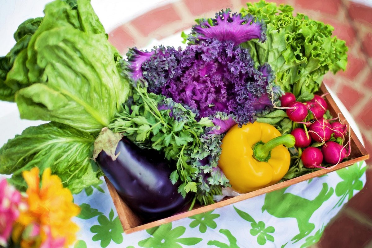 Где в Астане купить продукты по ценам ниже рыночных