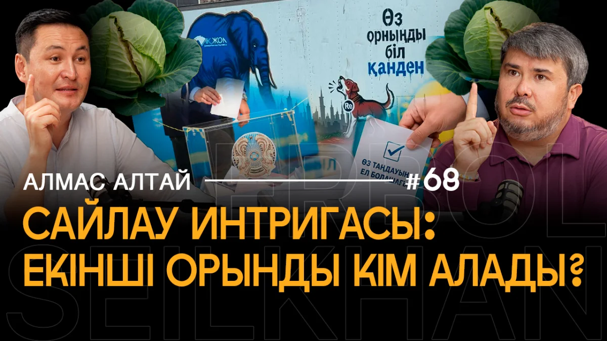 Теледебаты и предвыборная кампания: слон, болонка, жеребец, квашеная капуста — кто победил в PR-битве?