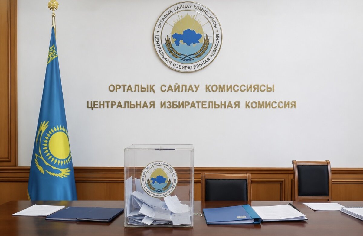 С начала избирательной кампании в ЦИК поступило 203 обращения