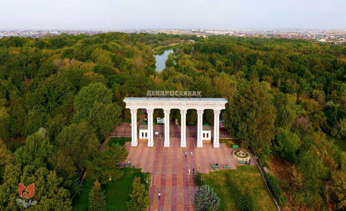 Шымкенттегі дендропаркте жасөспірім пышақ жарақатын алды