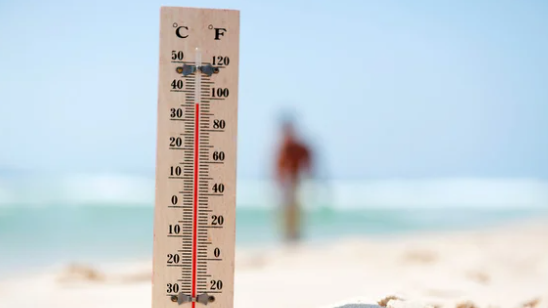 +42°C-қа дейін ыстық: Синоптиктер ескерту жасады