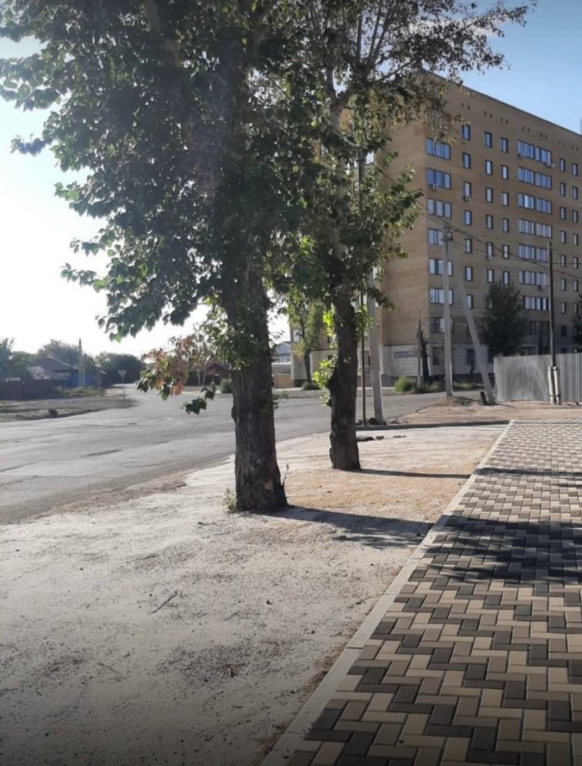 Семейде өсіп тұрған ағаштарды бетондап тастаған: тұрғындар әкімдіктен жауап күтеді