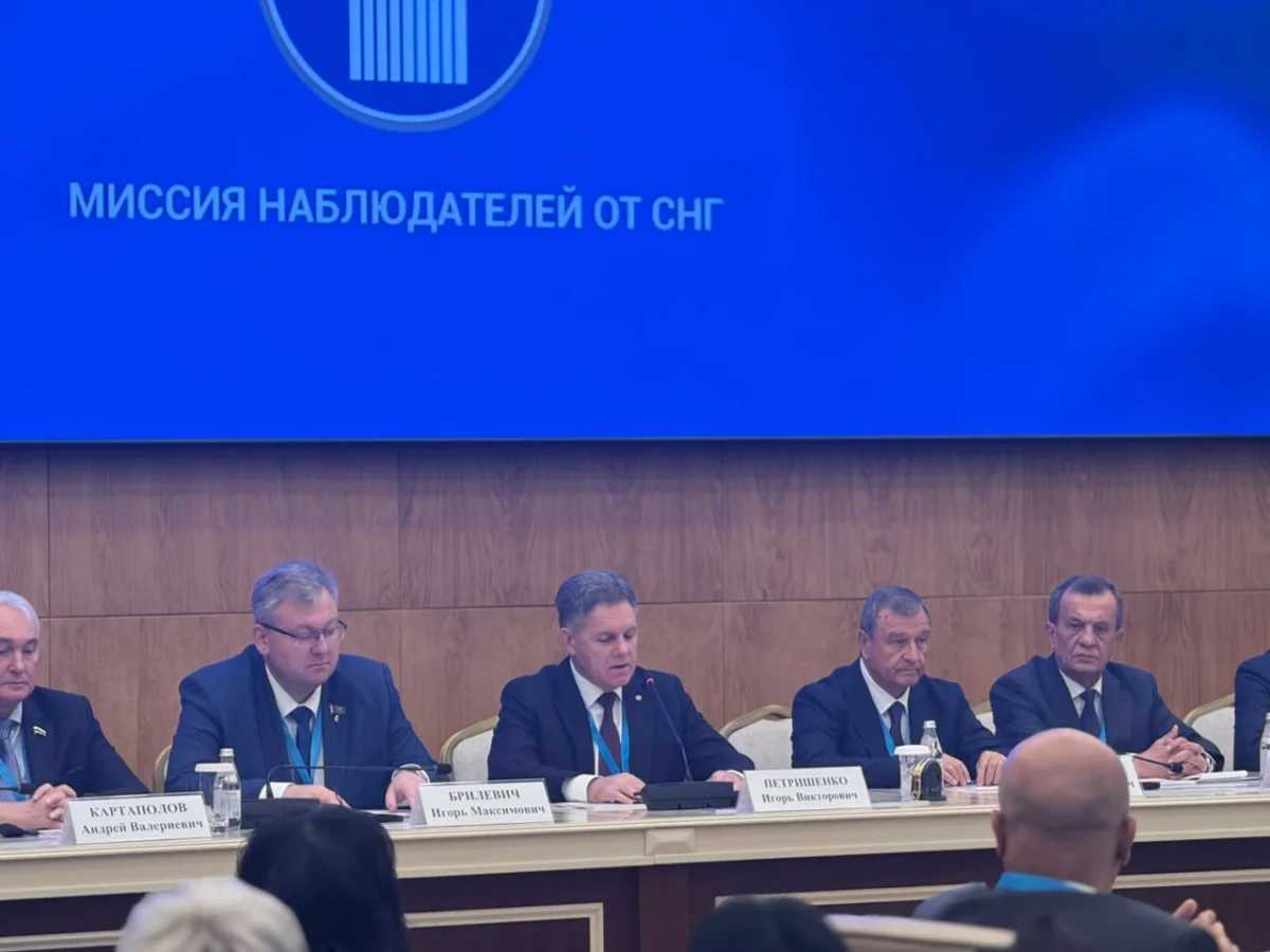 ТМД байқаушылары Құрылтай сайлауына жоғары баға берді