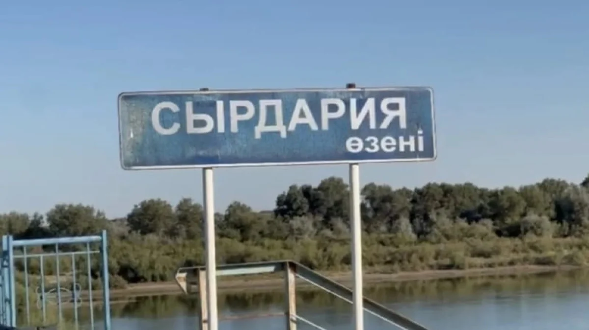 В Туркестанской области при купании погибли два брата