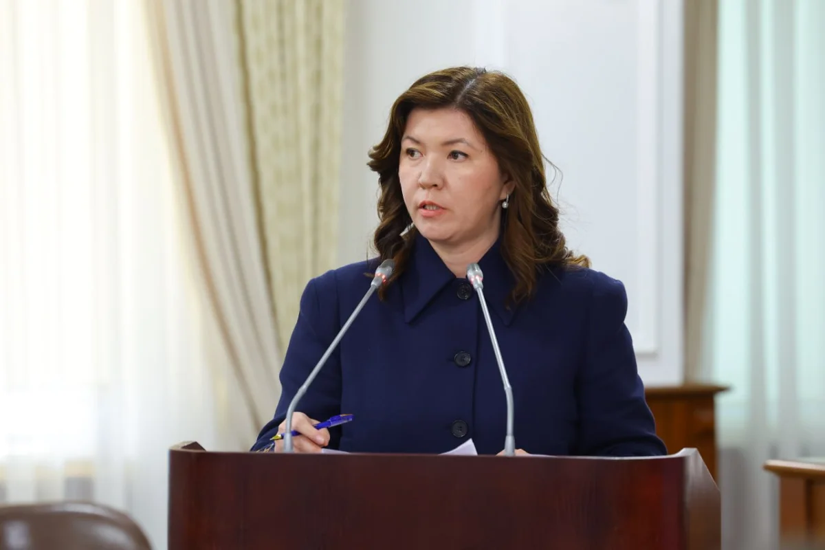Жаңа Конституция білім беру саласына жаңа міндеттер жүктейді – министр