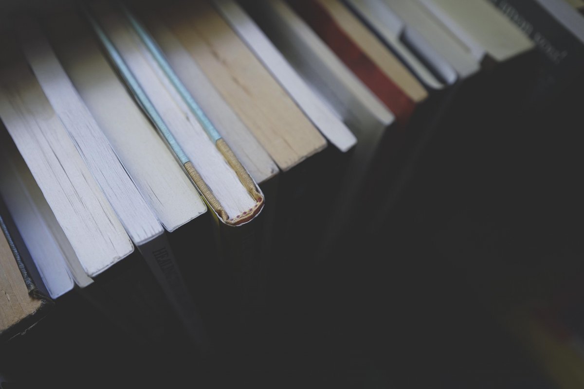 Описываются недостоверные исторические факты и мифы о ложных героях – президент поручил пересмотреть школьные учебники