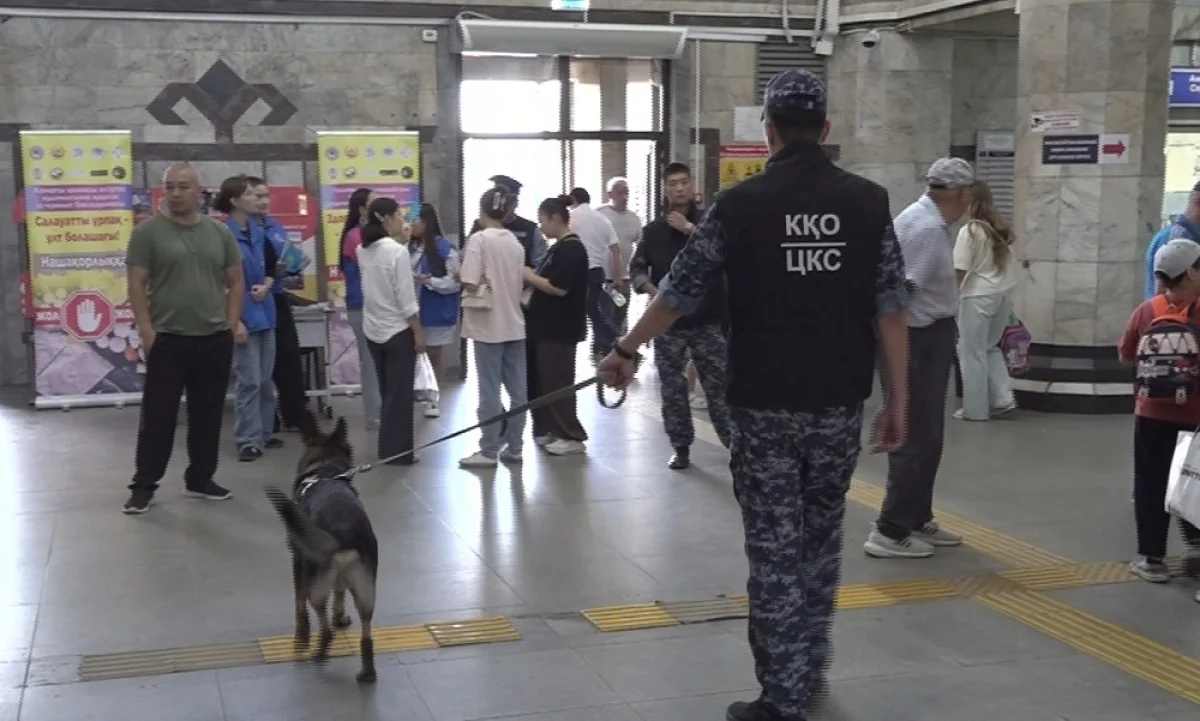 Как служебные собаки помогают раскрывать наркопреступления в мегаполисе