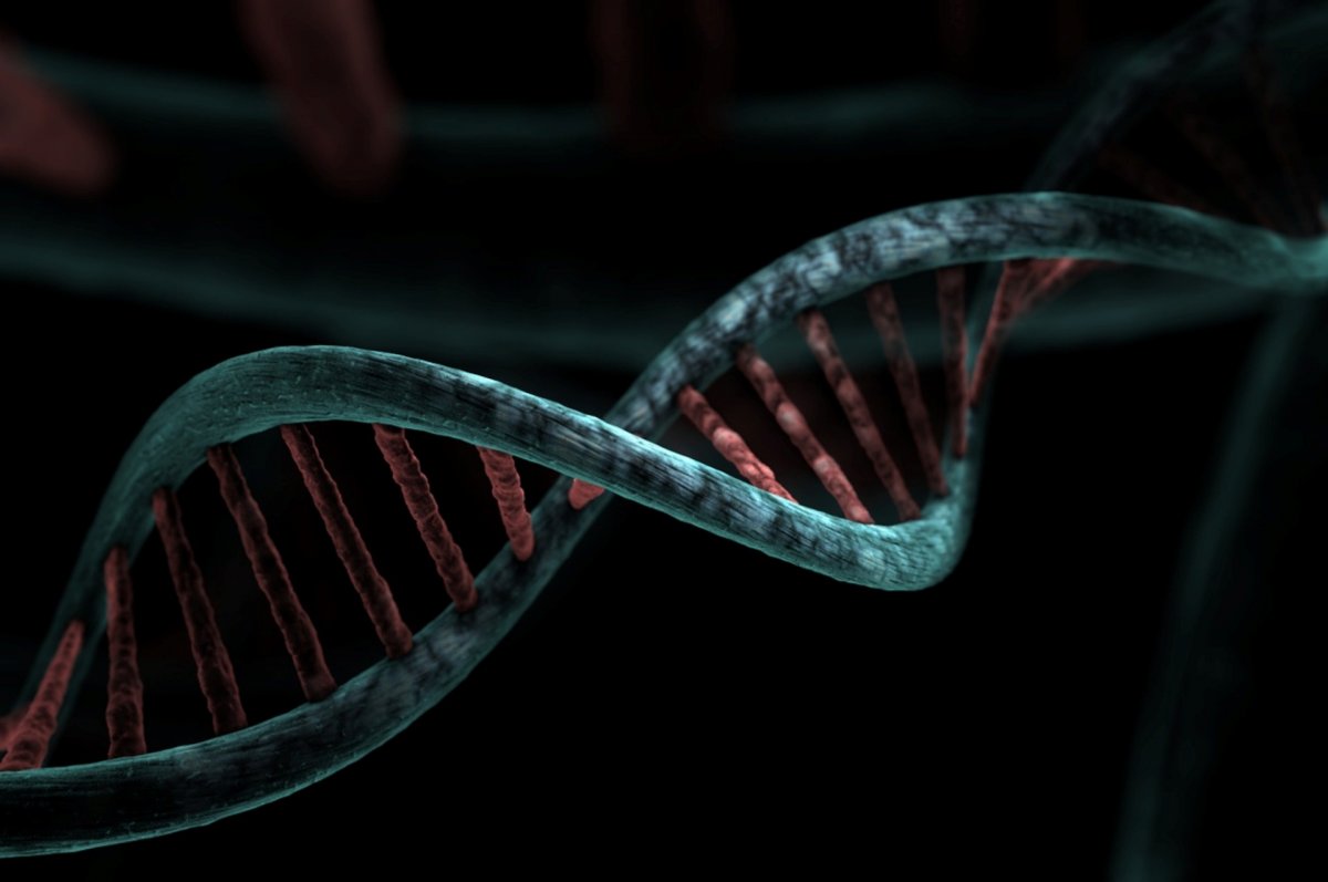 Спустя 14 лет по ДНК вычислили убийцу и насильника в Павлодарской области