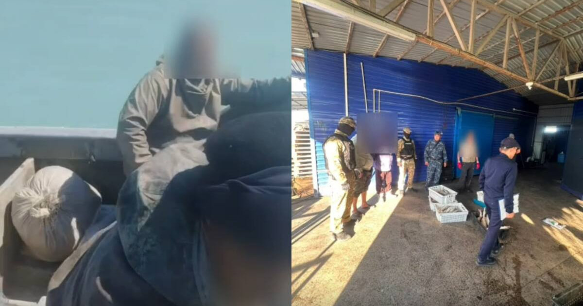  Балқаш көлінен 53 келі көксеркені заңсыз аулаған екі азамат ұсталды 