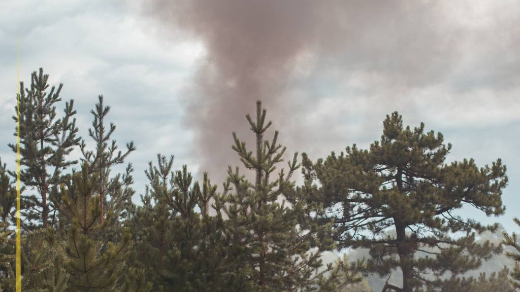 Қазақстанда бір тәулікте үш орман өрті тіркелді