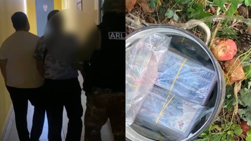 Кастрюлю с 24 миллионами тенге нашли под яблоней в Павлодаре