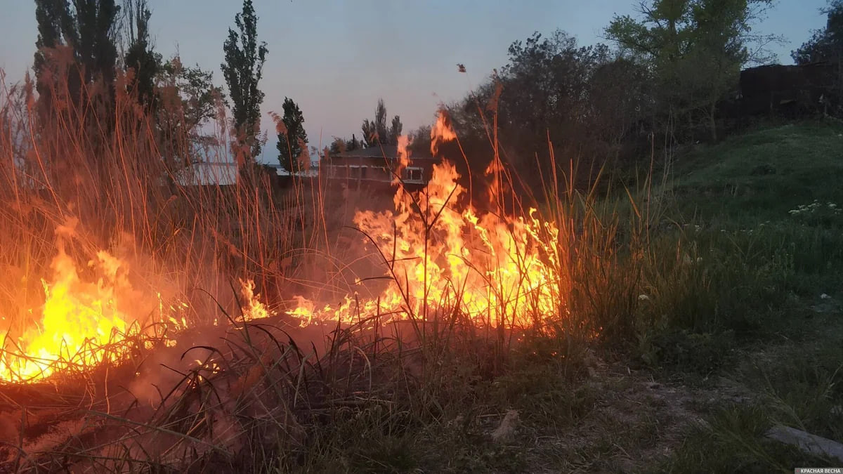 В Италии из-за лесного пожара эвакуировали более 100 человек