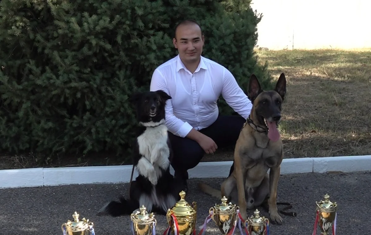 Кинологи Казахстана — лучшие: они показали мастерство на международном турнире в Алматы