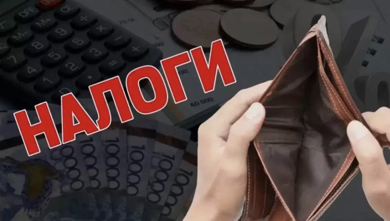 Налоговая реформа перекроила малый бизнес Казахстана