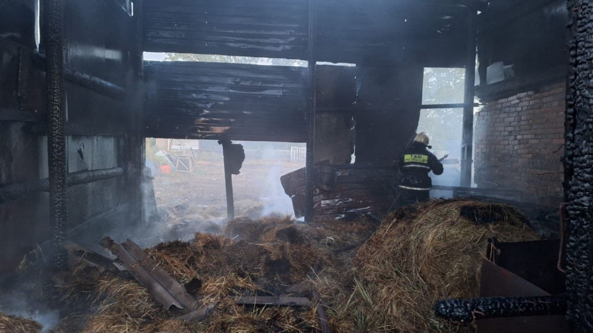 Огонь вспыхнул во дворе частного дома в селе близ Астаны