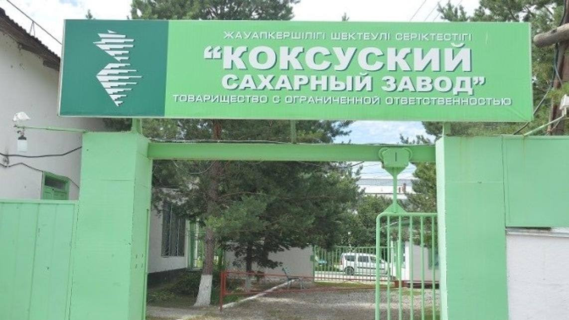 Коксуский сахарный завод увеличит переработку свеклы на 50%