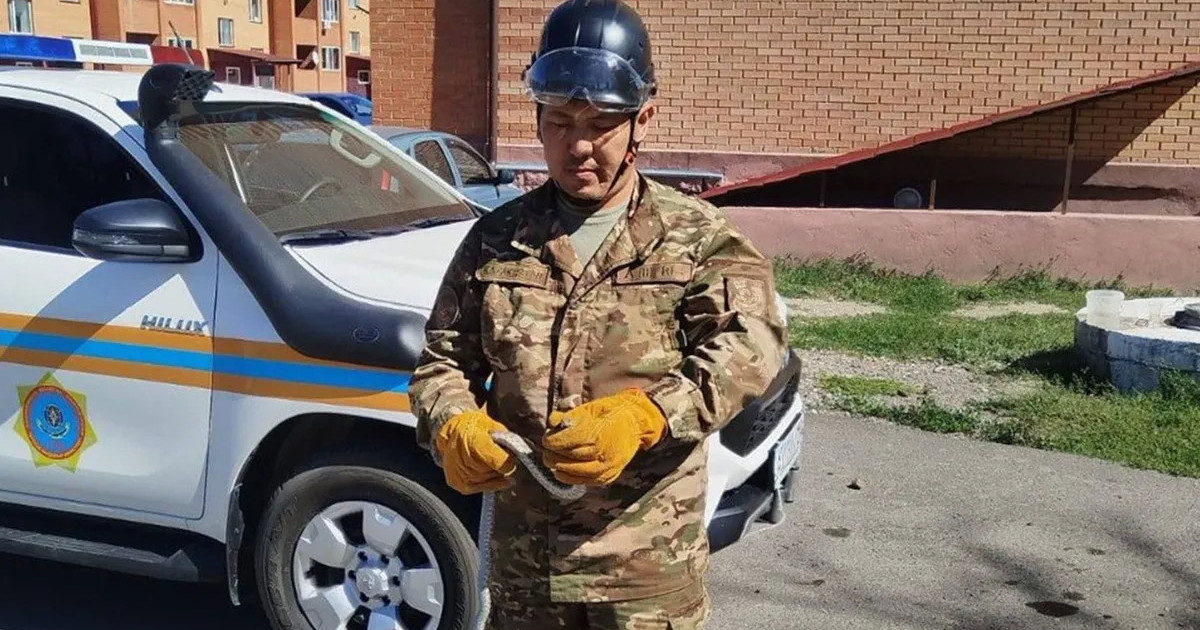  Қарағанды облысында тұрғын үй маңынан жылан ұсталды 