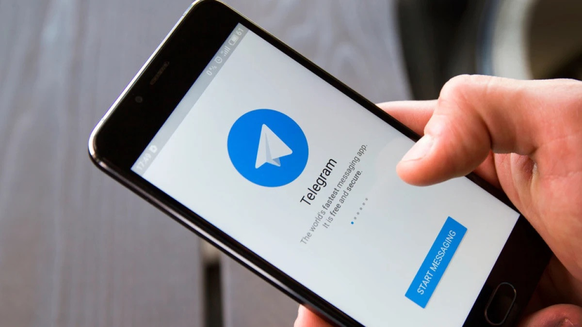 Telegram направил более $2 млн победителям олимпиад по информатике и ИИ