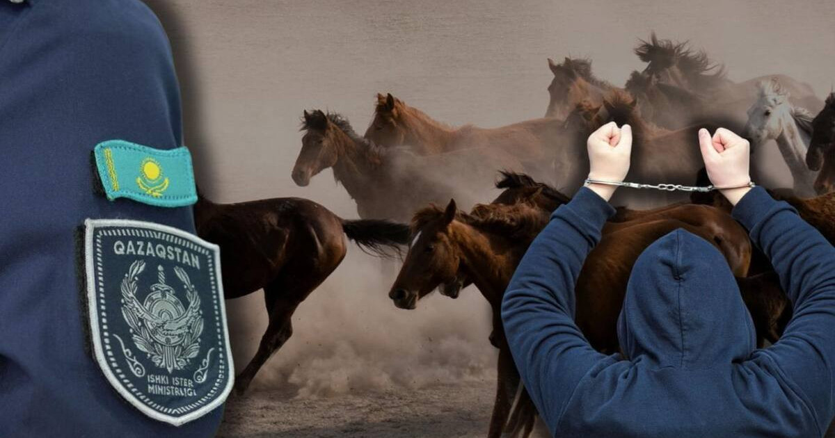  Жетісу облысында мал ұрлаған 6 күдікті ұсталды 