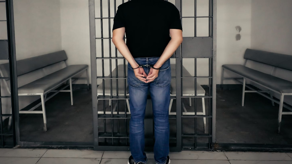 Около 12 кг запрещенных растений изъяли у жителя Туркестана