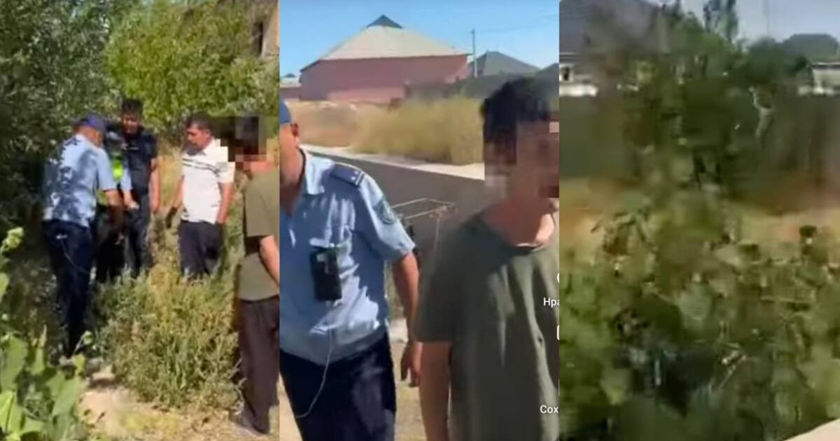  Есірткі өсімдіктерін заңсыз өсірген Түркістан тұрғыны ұсталды 