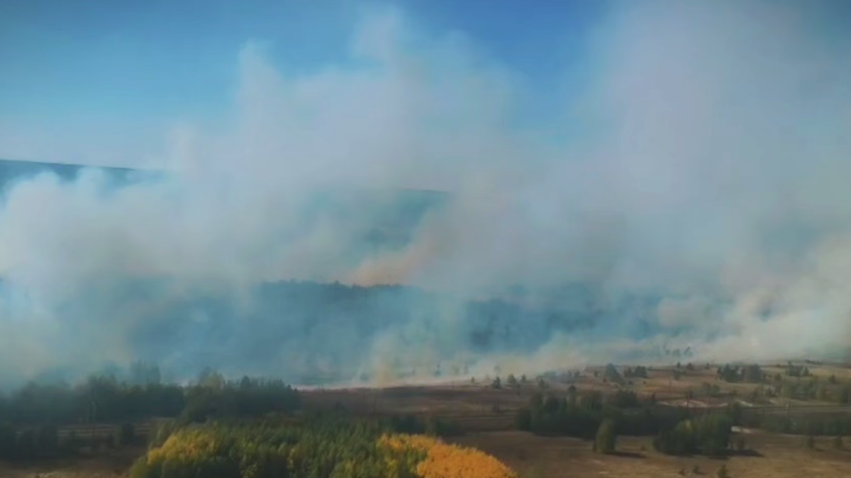 Ақмола облысының екі ауданында табиғи өрт тіркелді