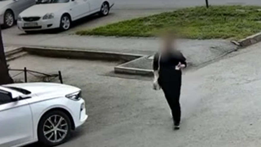 Астанада іздеуде жүрген үш адам камералардың көмегімен анықталды