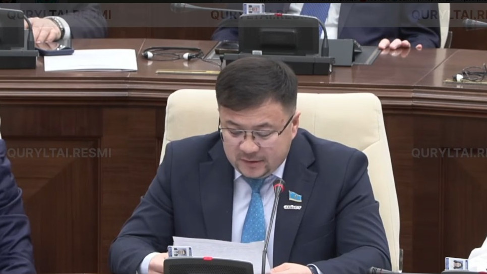 Лайк пен донат үшін жанжал: Депутат треш-стримдерге жазаны күшейтуді ұсынды